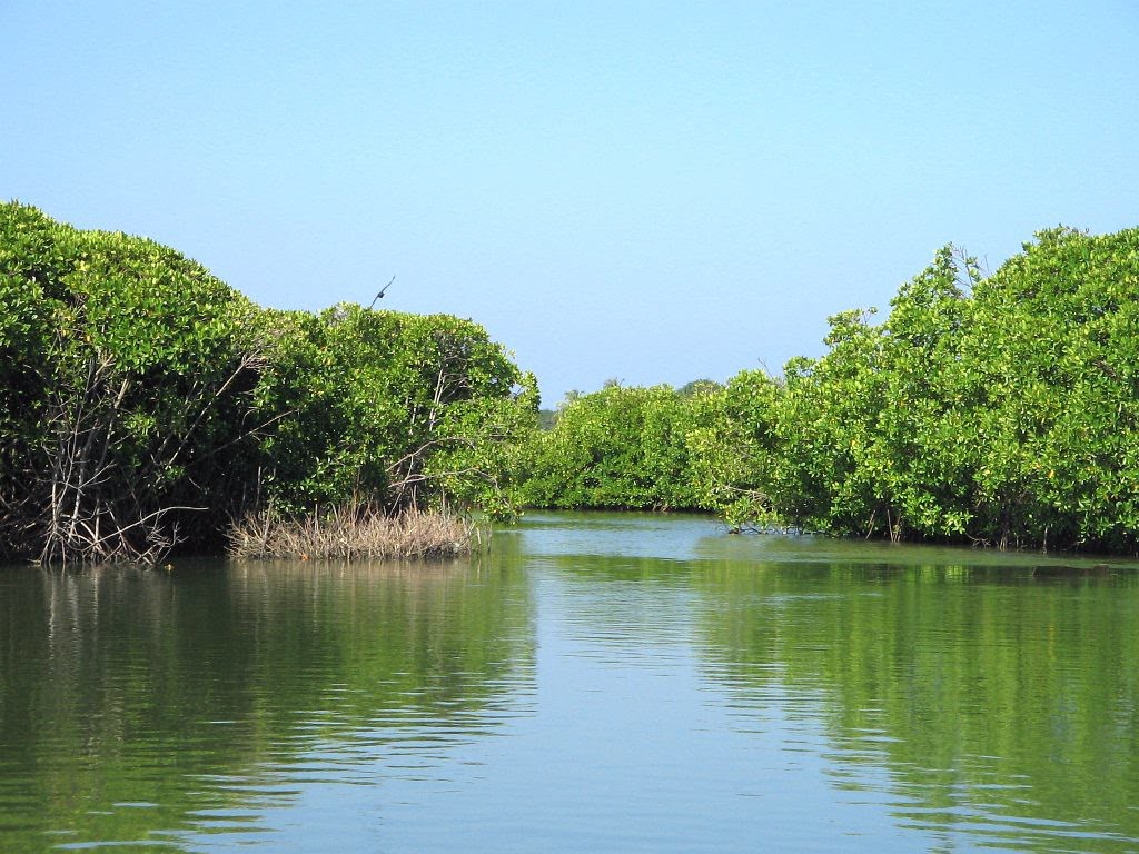 negombo-lagoon